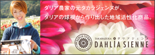 ダリア農家の元タカラジェンヌが、ダリアの球根から作り出した地域活性化商品【TAKARAZUKA ダリアジェンヌ】