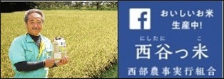 おいしいお米生産中!【西谷っ米 西武農事実行組合】